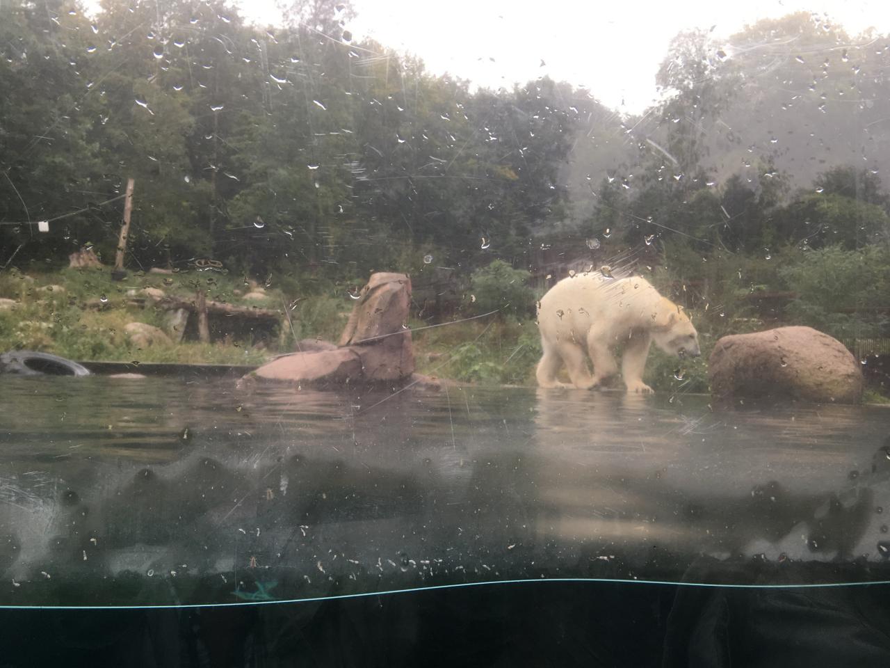 Zoo de Mulhouse